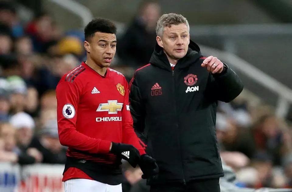 质的新星逐 质的新星逐